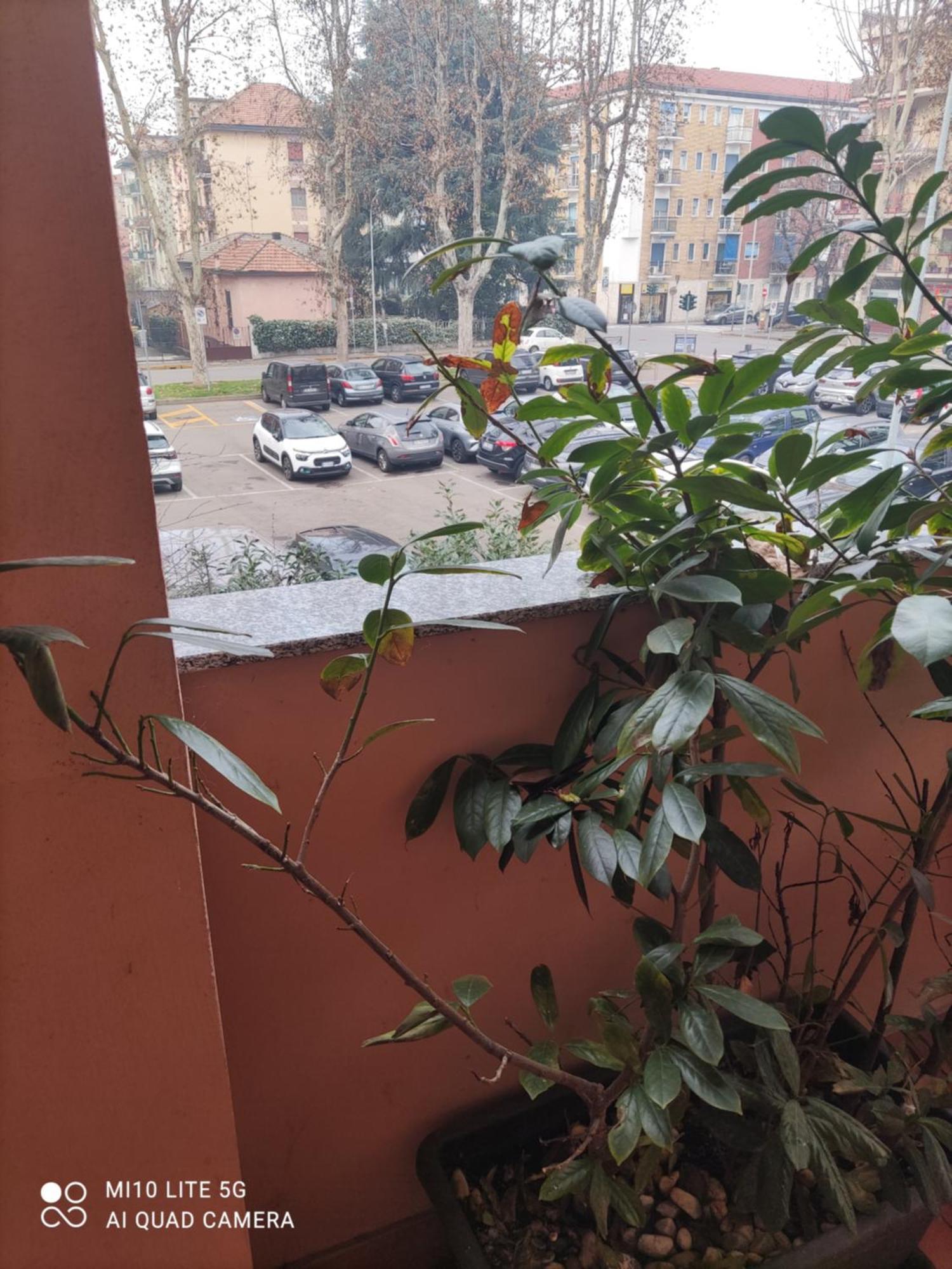 Hostal D'Annunzio House Чезано Босконе Екстериор снимка
